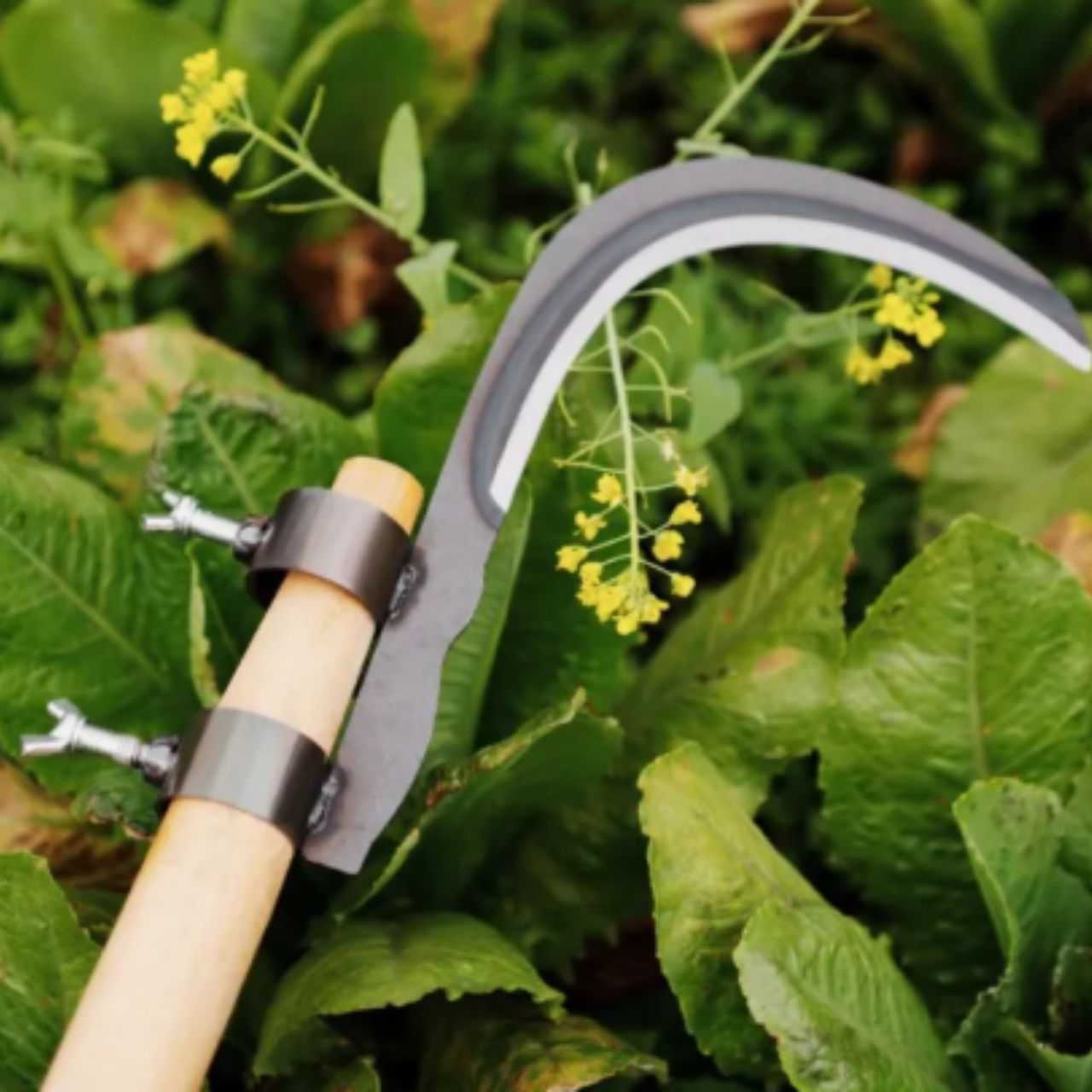 AgroTool, rezačka na konáre, burinu, tŕne a vegetáciu - Image 10