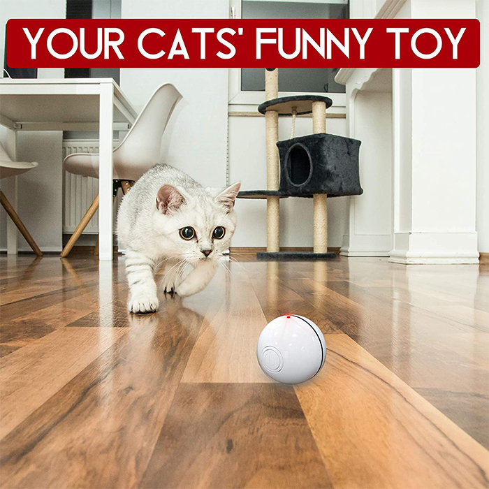 CatToy, hračka pre mačku, ktorá uteká a máva pierkom - Image 7