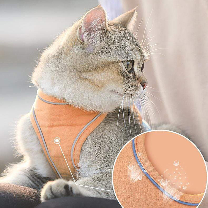 CatVest, postroj s vodítkom pre mačky - Image 9