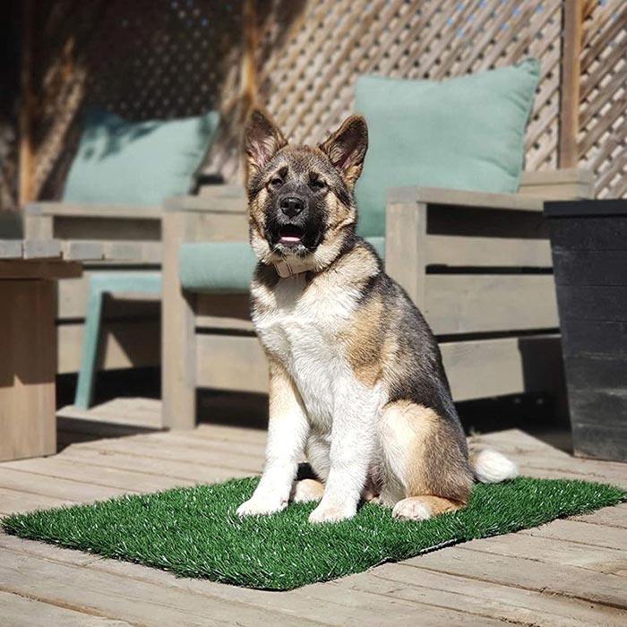 GrassMat, rohož so vzhľadom prírodnej trávy - Image 5