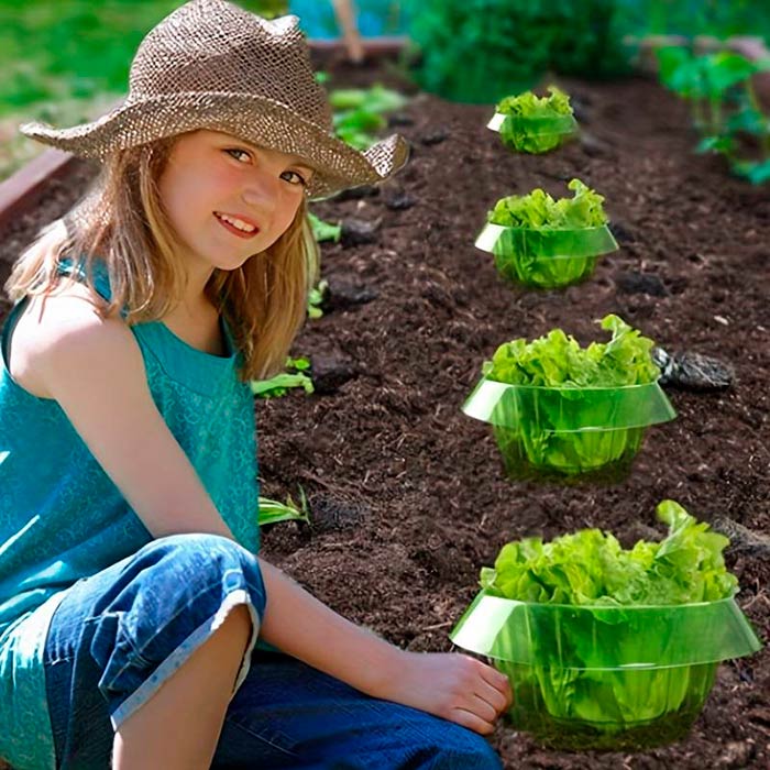 LettuceProtect, ochrana pre šalát a iné plodiny (10 kusov) - Image 7