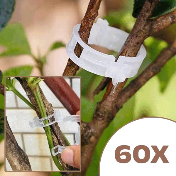 PLANTCLIP, GreenGrow Podpora pre Rastliny - 60 Sponiek - video
