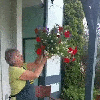 PULLEY, Háčik na zavesenie rastlín - video