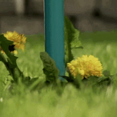 ROOTPULL, Odstraňovač koreňov z nehrdzavejúcej ocele - video