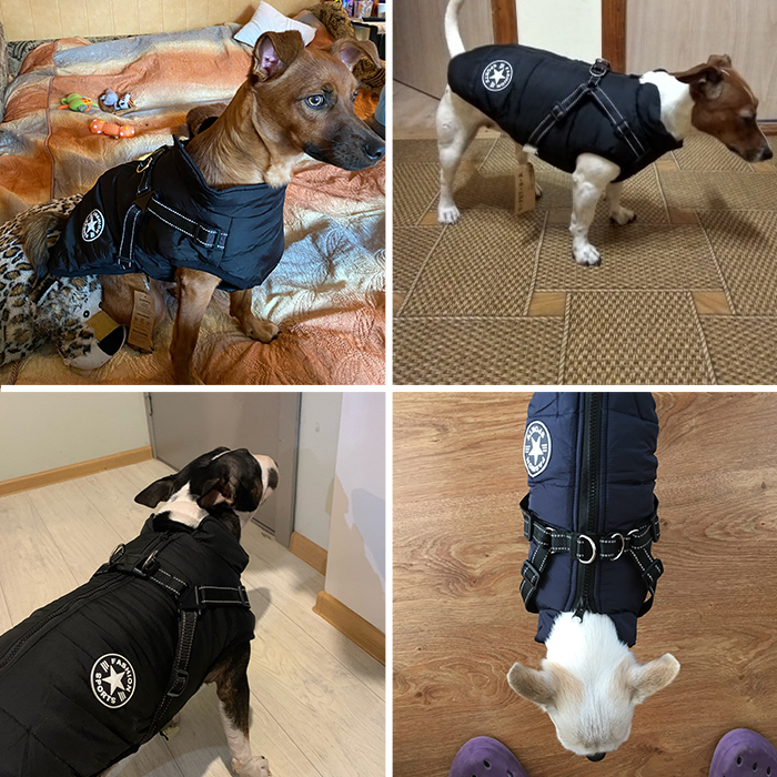 DogJacket, reflexný a nepremokavý zimný kabát pre psov - Image 8