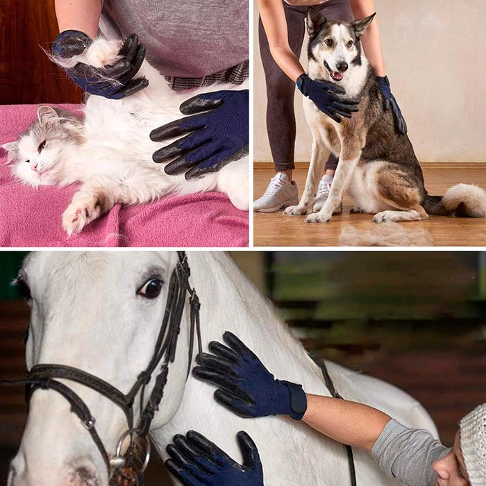 Pawly premium DUO